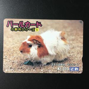  close iron / series card - small animals series 5[ sphere hand mountain amusement park morumoto] pearl card ( used Surutto KANSAI)