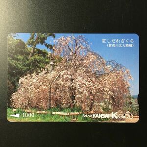 京阪/汎用カードー「紅しだれざくら(加茂川北大路橋)」ー2003年度発売開始柄ー京阪スルッとKANSAI Kカード(使用済)