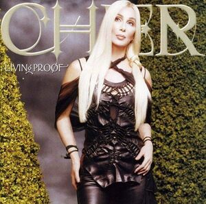 廃盤 ポップス ロック Cher Living Proof　 シェール　ハスキーな歌声と伸びのある歌唱力　駄曲一切ナシの最高傑作