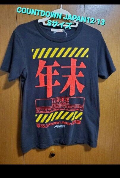 COUNTDOWN JAPAN12・13 Tシャツ カウントダウンジャパン Sサイズ バンドTシャツ バンド ヴィンテージ