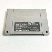 タイニートゥーンアドベンチャーズ　♪動作確認済♪５本まで同梱可♪　SFC　スーパーファミコン_画像2