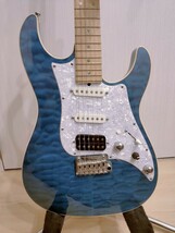 JAMES TYLER GUITARS JAPAN Studio Elite HD Transparent Blue_画像2