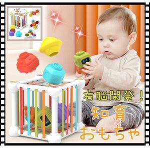 新品　知育玩具　知育おもちゃ　右脳開発　出産祝い　プレゼント　モンテッソーリ　幼児教育　