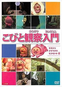 こびと観察入門 カブト タケノ DVD※同梱発送12枚迄OK！ 6b-1996