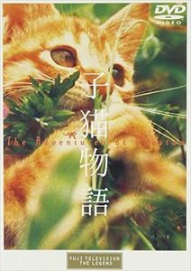 子猫物語 DVD※同梱発送12枚迄OK！ 6a-7775