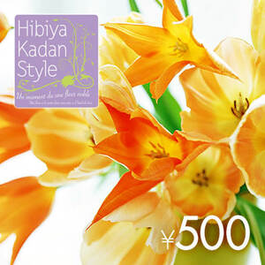 日比谷花壇 500円分 フラワーギフトチケット Hibiya-Kadan Style ギフト クーポン