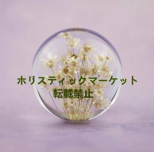 新品入荷 天然デイジーフラワー 7cm 天然植物 標本 インテリア オブジェ 装飾 ガラス樹脂 花 フラワー デイジー クリスタルガラスDJ999