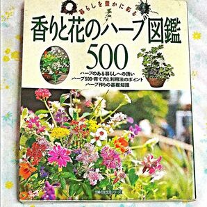  ♪香りと花のハーブ図鑑500