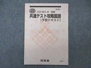 VP04-110 河合塾 共通テスト攻略国語 予習テキスト 未使用 2022 冬期講習 03s0B