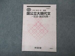 VP04-172 河合塾 国公立大現代文 記述 論述対策 テキスト 2022 夏期講習 03s0B