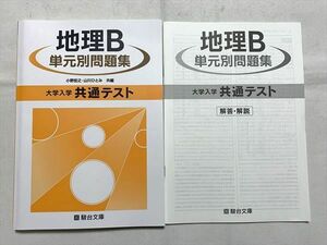 VQ33-034 駿台文庫 地理B 単元別問題集 大学入学共通テスト/解答解説 2020 小野宏之/山川ひとみ 13 S0B