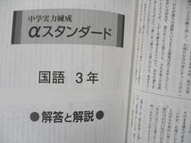 VQ06-130 塾専用 中3年 中学実力練成 αスタンダード 国語 状態良い 13m5B_画像5