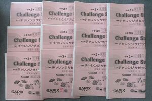 VP25-047 SAPIX 小学3年 国語 チャレンジサピックス 32P-01～12 計12回分セット 2019 60S2C