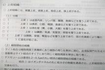 VQ26-012 ウエマツ創研 はり師・きゅう師・あん摩マッサージ指圧師 解剖学/臨床医学各論 上巻/下巻 穴埋め問題集 2019 3冊 27S3D_画像4