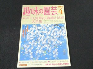 本 No1 03066 NHK 趣味の園芸 2004年4月号 人気草花&春植え球根大全集 ペチュニア ぺラルゴニウム バーベナ グラジオラス 枝豆でビール