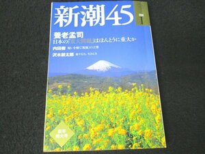 本 No1 03573 新潮45 2009年1月新年特大号 養老孟司 内田樹 沢木耕太郎 後藤完夫 ビートたけし 安田善次郎 北康利 石井光太 中村うさぎ