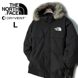 1円～!売切!【正規新品】THE NORTH FACE◆MCMURDO BOMBER JACKET◆マクマードボンバー ダウンジャケット US限定 新作 防寒(L)黒 190122-175