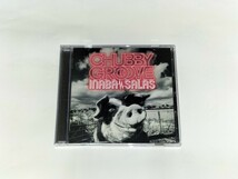 INABA/SALAS『CHUBBY GROOVE』初回限定盤 CD+DVD 稲葉浩志(B'z) スティーヴィー・サラス_画像1