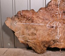 《160サイズ》レッドウッド　セコイヤ　コブ杢　rwd-873　材木　DIY板材　木材／端材　_画像2