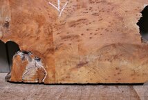 《160サイズ》レッドウッド　セコイヤ　コブ杢　rwd-867　材木　DIY板材　木材／端材　_画像6