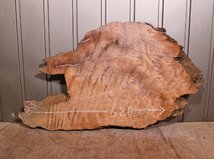 《160サイズ》レッドウッド　セコイヤ　コブ杢　rwd-875　材木　DIY板材　木材／端材　_画像6
