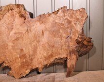 《160サイズ》レッドウッド　セコイヤ　コブ杢　rwd-886　材木　DIY板材　木材／端材　_画像7
