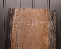 《120サイズ》サペリ材　spr-891　材木　DIY板材　木材／端材　_画像8