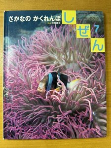 特3 82871 / しぜん7 さかなのかくれんぼ 2003年7月1日発行 写真:中村庸夫 発行所:株式会社フレーベル館 かくれくまのみ かみそりうお