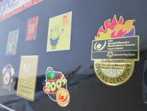 【1214n F7838】2005年 長野冬季オリンピック 記念 ピンバッジ 16個セット 五輪 ピンバッヂ 額装_画像9