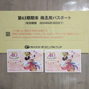 12月24日(日) クリスマスイブ 入園予約済み TDL 東京ディズニーランド1DAYパスポート 2枚組 ペアチケット　株主優待