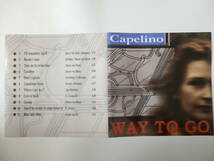 CD/オランダ: ジプシー- ジャズ/Capelino- Way To Go/Harriet Middelhoek:vo/Peter Van Den Bos:violin/Harm van Sleen:b/Arjan van El:sax_画像10