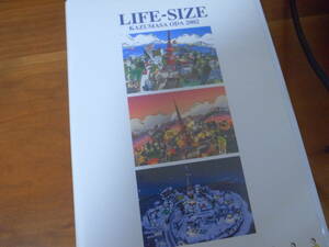 LIFE-SIZE 2002 小田和正 　DVD