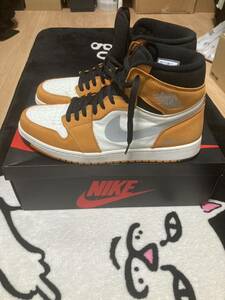 美中古　jordan1 gore tex 30cm 一回着用