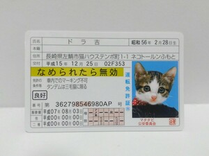 ■ ドラ吉　ゴールド　なめねこ　なめ猫　なめんなよ　カードコレクション 猫　免許　免許証　運転免許証　マタタビ　公安委員会