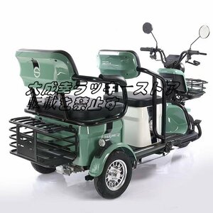  popular recommendation super popular seniours oriented electric tricycle home use tricycle leisure travel shopping commuting for F1159