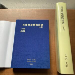 兵庫県産植物図譜　上下巻白黒　植物誌　植物図鑑　植物分類学　らんまん　山野草