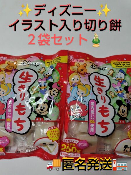 【切餅】 アイリスオーヤマ 低温製法米 ディズニー 生きりもち 個包装 250g・２袋セット