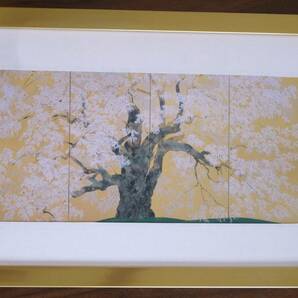 人気★中島千波★【醍醐の桜】貴重な画集からA4新品額装