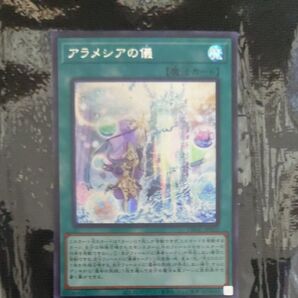 アラメシアの儀 シークレットレア