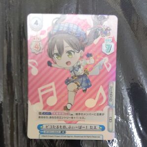 ピコたるもの、ふぃーばー!たえ CR サイン Reバース