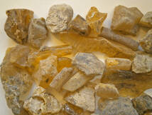 コーパル原石(樹脂の化石)約100g 虫入あり マダガスカル産 若い琥珀(ヤングアンバー)(1)_画像3