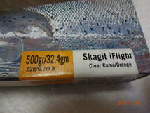 RIO リオ　スカジット 500gr　★ Skagit iFlight 6.7m　★　_画像3