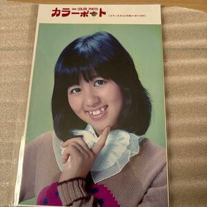 □石野真子 カラーポート プロマイド 2Lサイズ 新品未開封品 当時物