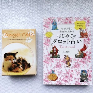 Angel Catsエンジェルキャットこねこたちからの45枚のメッセージオラクルカード日本語版解説書付はじめてのタロット占い本あんずまろん