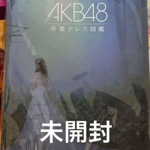 AKB48 オサレカンパニー 衣装図鑑 卒業ドレス図鑑 大衣装展 大丸 ナツマツリ