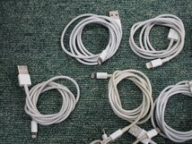 Apple Lightning to USB 充電ケーブル 通電確認 現状品 純正 10セット B50238_画像2