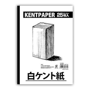 【新品送料無料】ケント紙　25枚入　210×297 A4サイズ　イラスト　デザイン　美大　美術大学　受験　絵画　油絵　油画　日本画　漫画