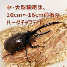【RK】転倒防止材　500g 3個　昆虫用バークチップ　中型～大型種用　カブトムシ・クワガタに最適_画像4