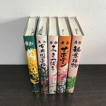 yj◆原色園芸植物大観 5冊 不揃い 観葉植物/サボテン/さつき・つばき/古典園芸植物 / 菊 集英社版 各函入り _画像3