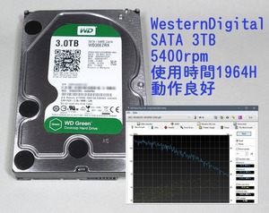 【送料無料】Western Digital WD30EZRX Green 3TB 3.5インチ SATA HDD 使用時間 1964h 5400rpm (11)